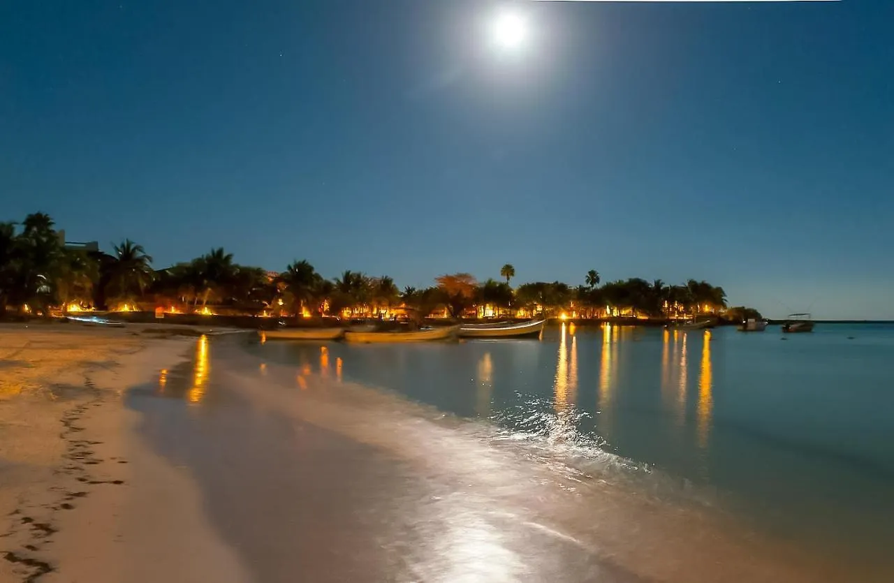 Amazing 2 Bedrooms Condo With Pool Facilities, Balcony And High Speed Internet Akumal 0*,