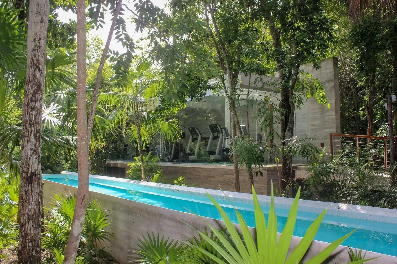 Amazing 2 Bedrooms Condo With Pool Facilities, Balcony And High Speed Internet Akumal Apartment
